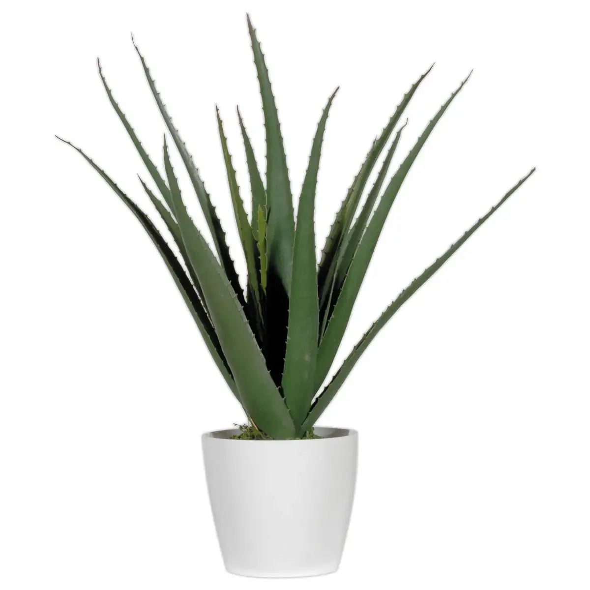 Plante artificielle Aloe vera - H 45 cm