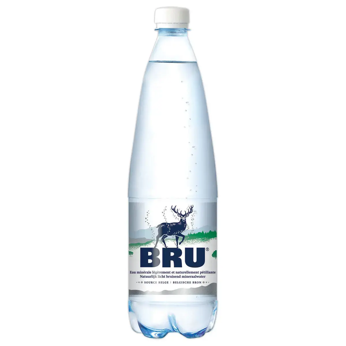 6 Bouteilles d'eau Bru 1,25 L
