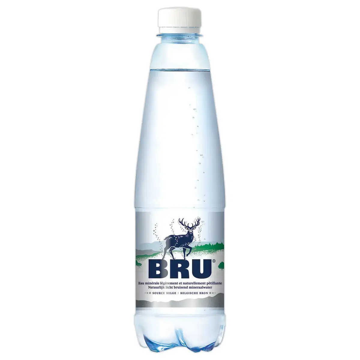24 Bouteilles d'eau Bru 50 cl