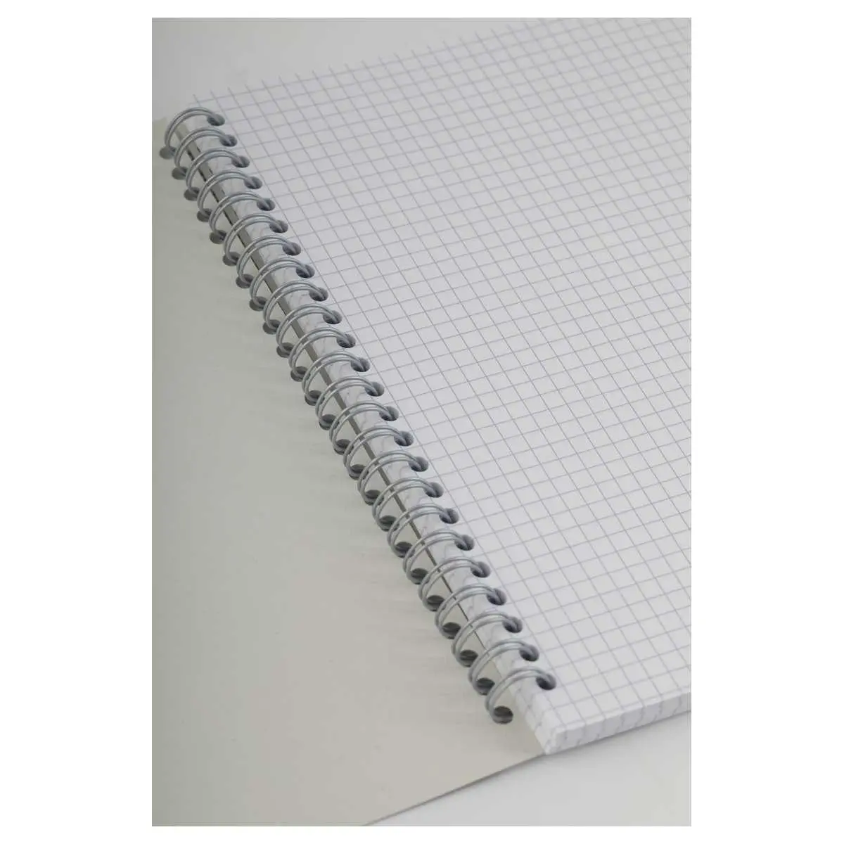 Cahier à spirales 70g - 17 x 22 cm - 180 pages - 5x5 - FIDUCIAL