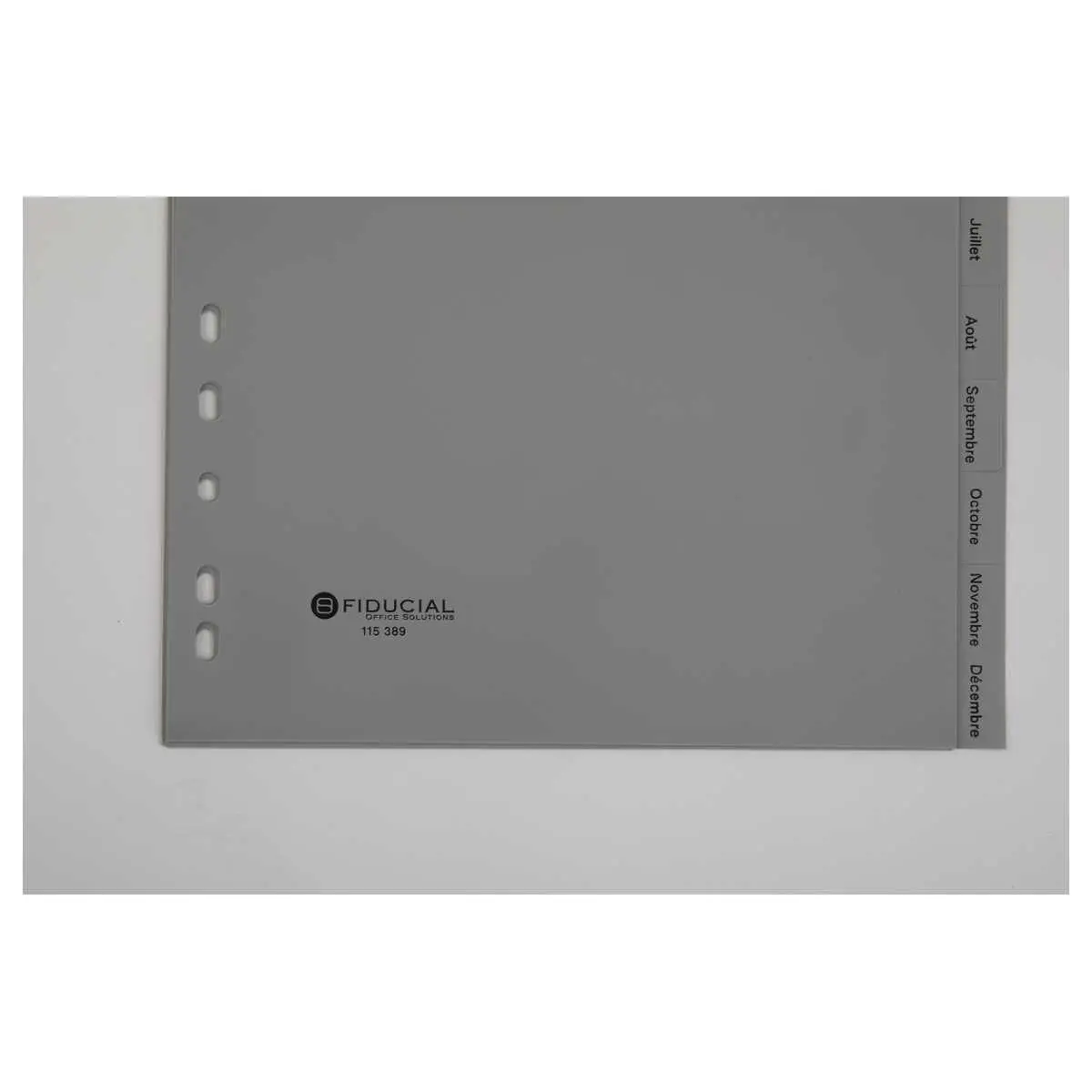 Jeu d'intercalaires mensuels A4 12 onglets - FIDUCIAL 