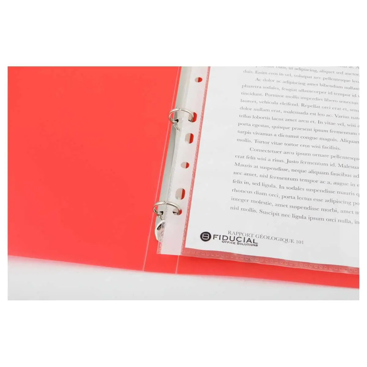 Classeur translucide coloré 4 anneaux, dos 2 cm - Rouge - FIDUCIAL