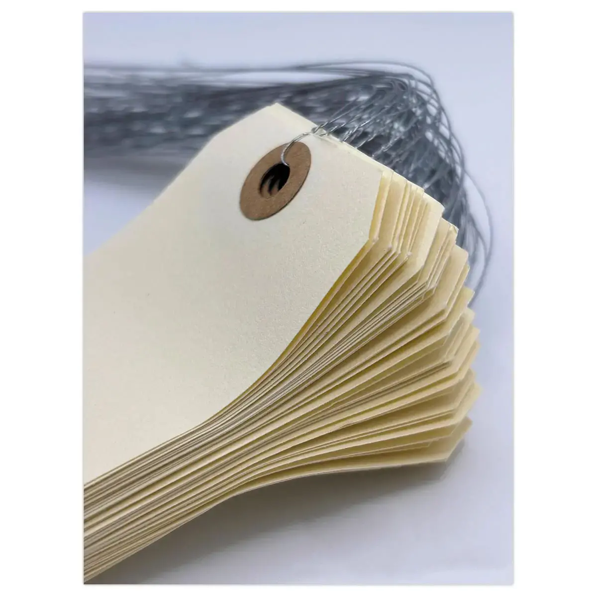 1000 Étiquettes américaines à œillet + fil de fer 120 x 57 mm