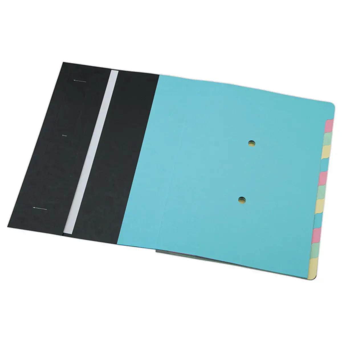 Trieur extensible carte lustrée - 12 onglets - Noir - FIDUCIAL
