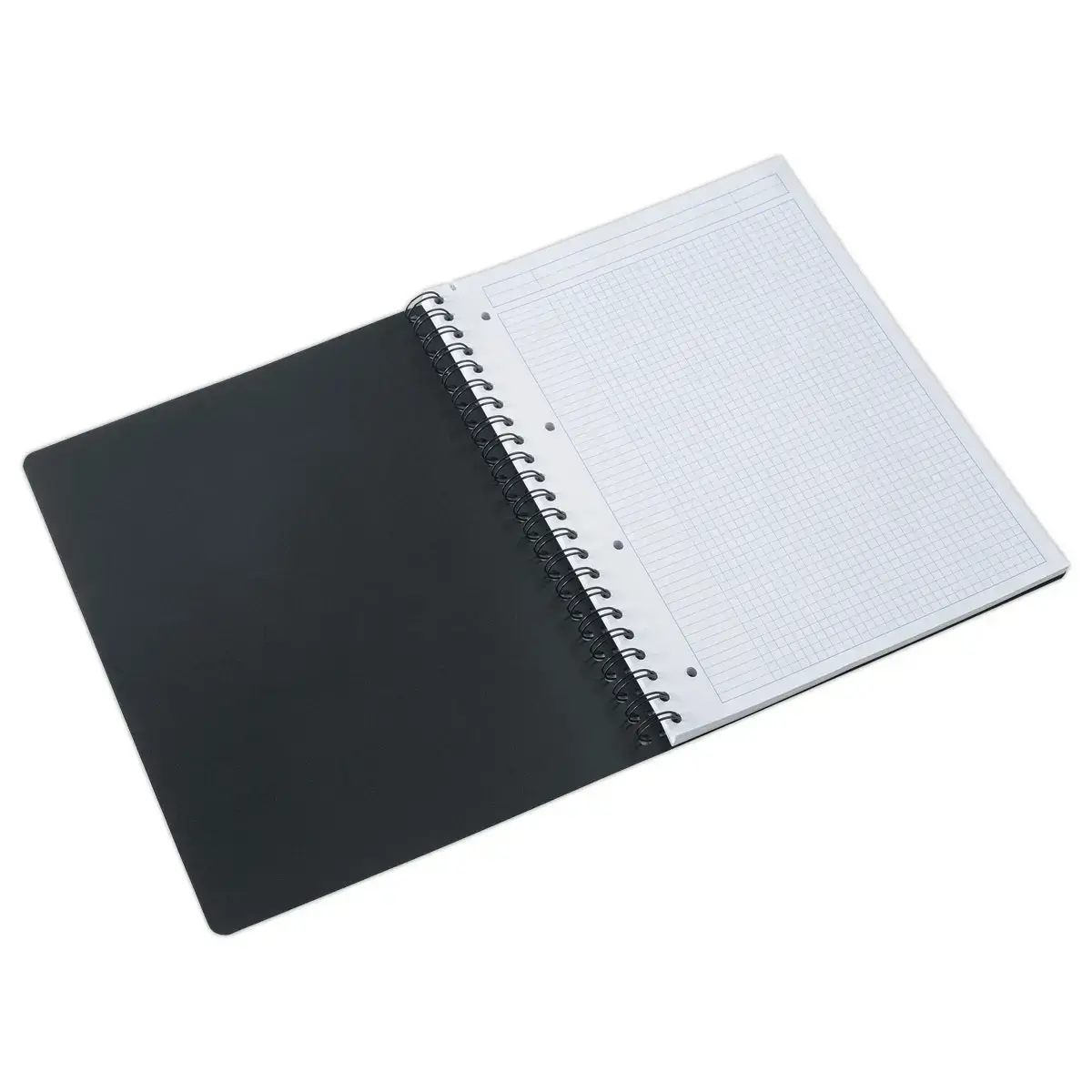 Cahier spirale A4+ Ambassador - 5x5 - FIDUCIAL OFFICE SOLUTIONS 