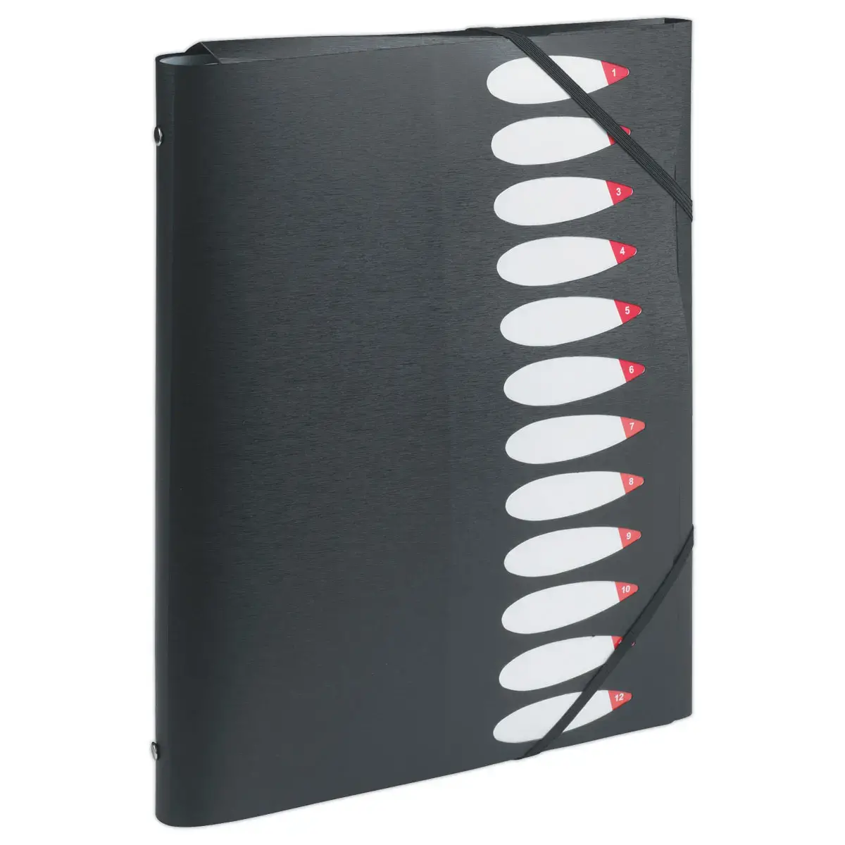 Trieur chemise - polypropylène - 12 positions - noir - FIDUCIAL