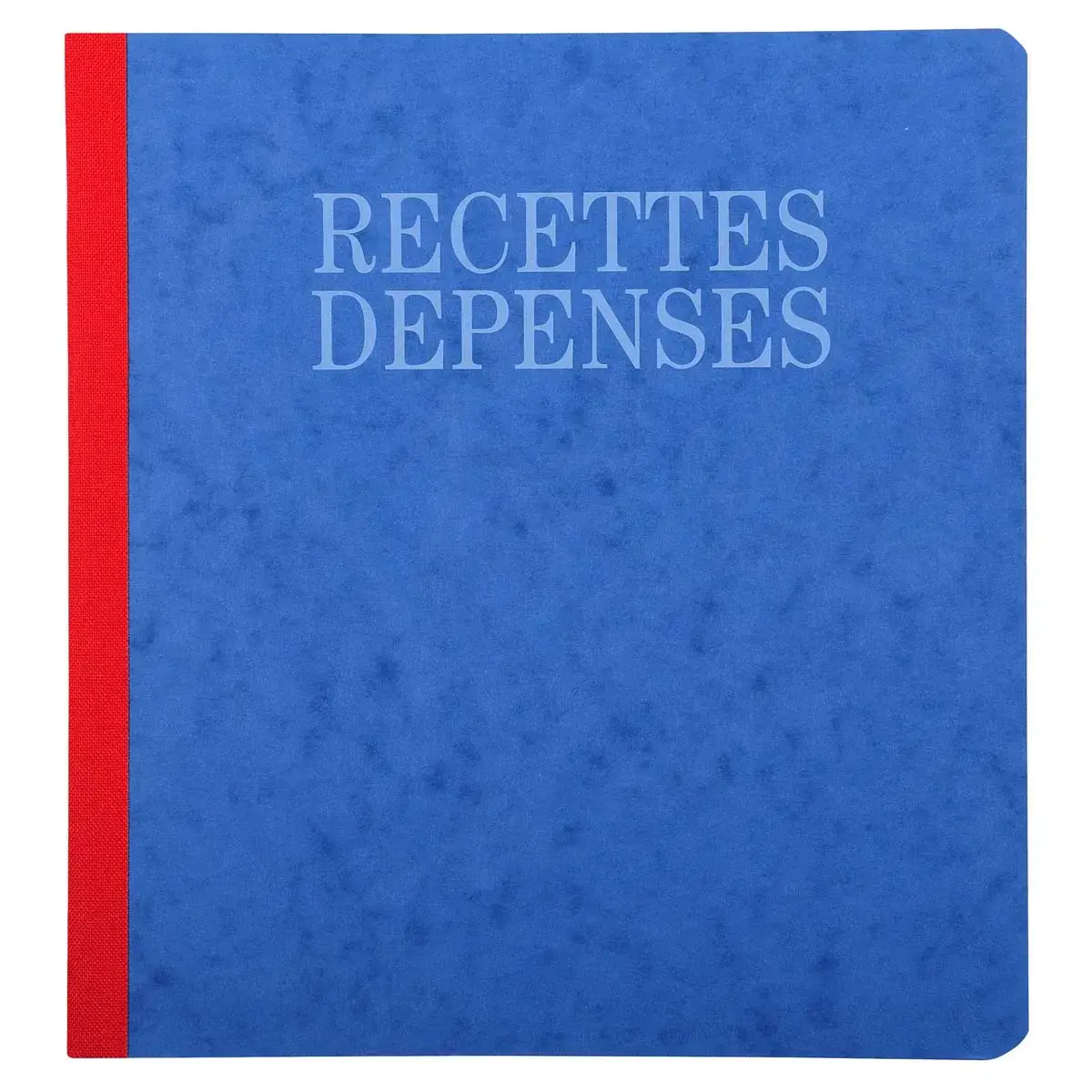 Piqûre Journal Recettes Dépenses 80 pages