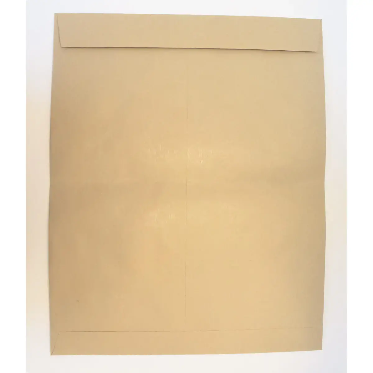 250 Pochettes kraft 120g - grand format type radio - 280x400mm - GPV PREMIER