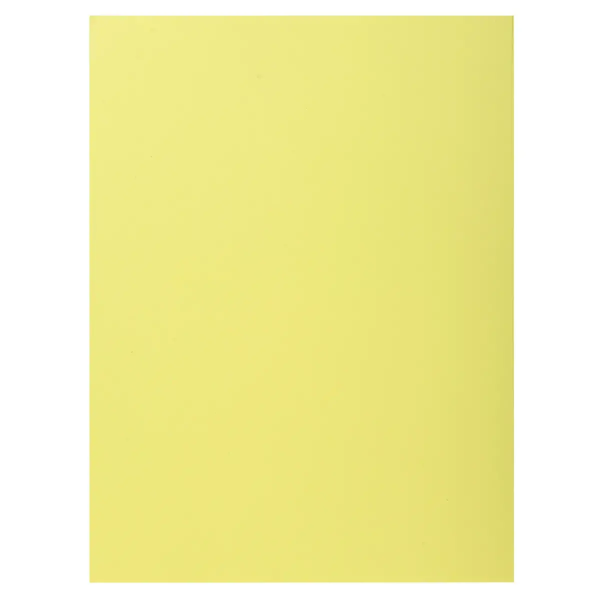 100 Chemises 1 rabat 160 g carte qualit&eacute; sup&eacute;rieure PEFC - couleurs pastel 