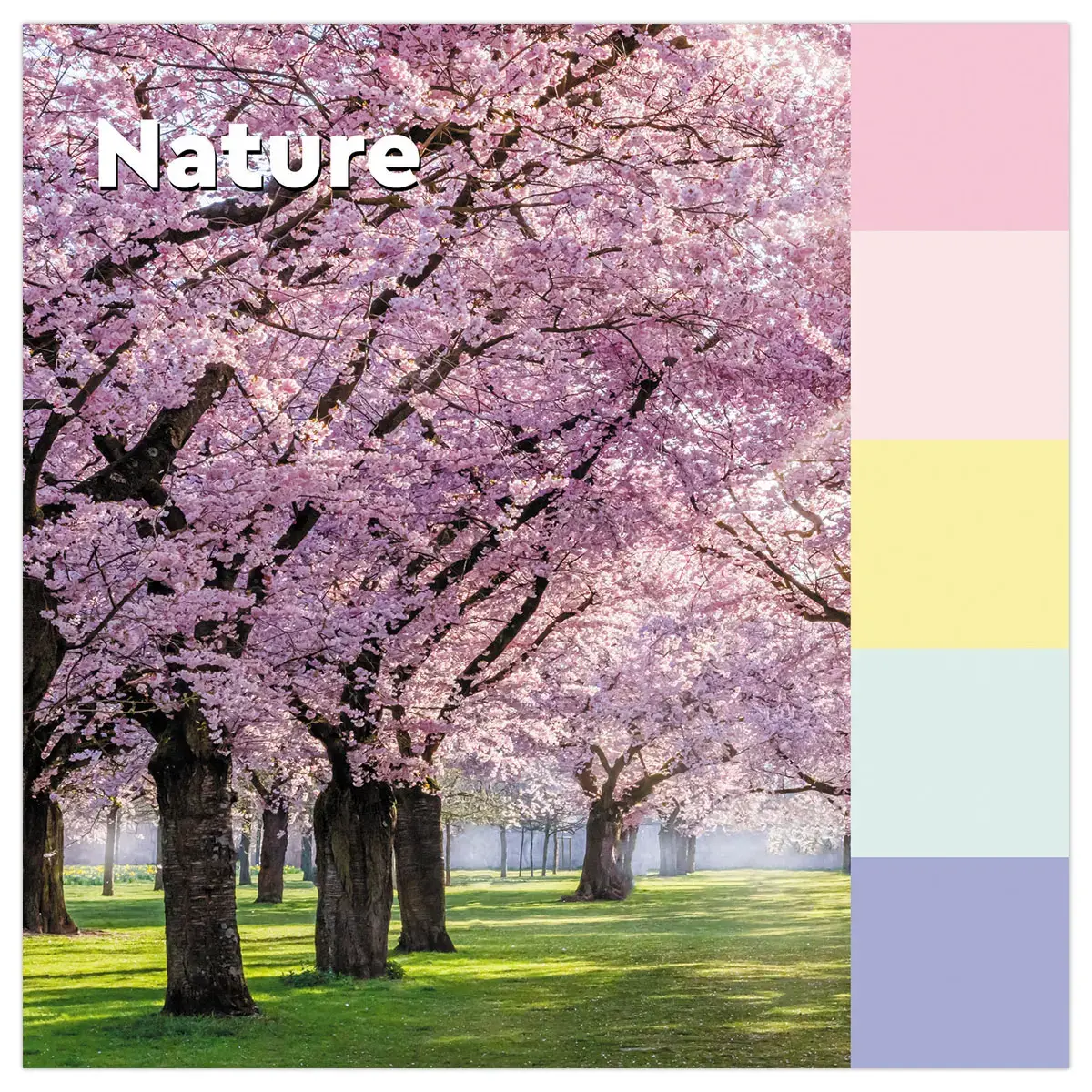 24 Notes Recycl&eacute;es Collection Nature, 38 x 51 mm 