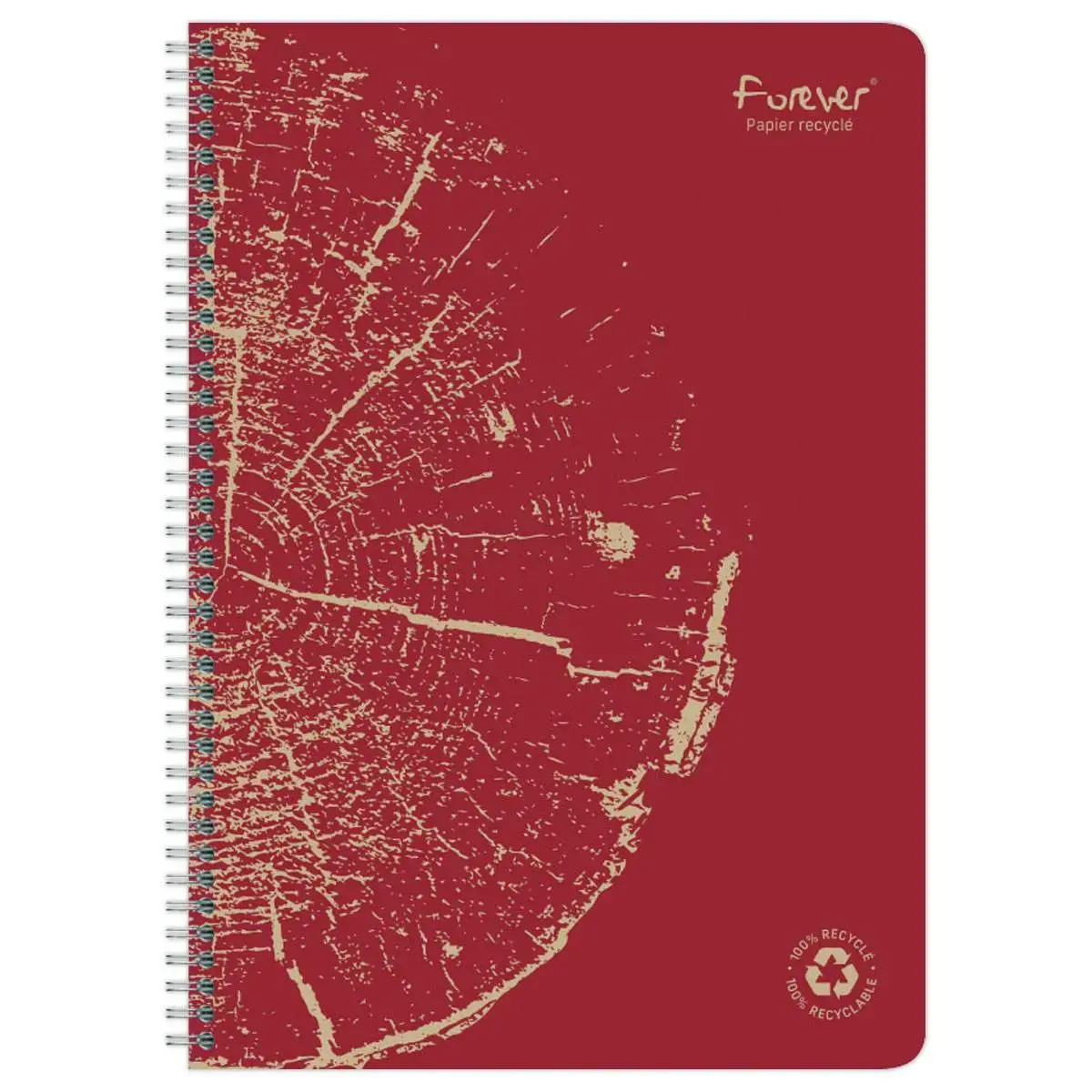 Cahier recycl&eacute; &agrave; spirales pages A4 lign&eacute;. 