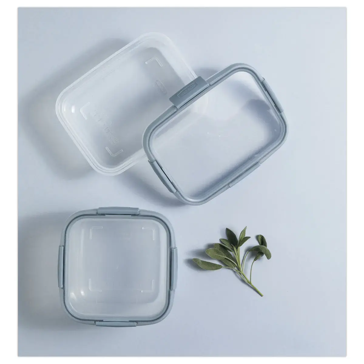 Boîte alimentaire - 1.2L - Gris - CURVER