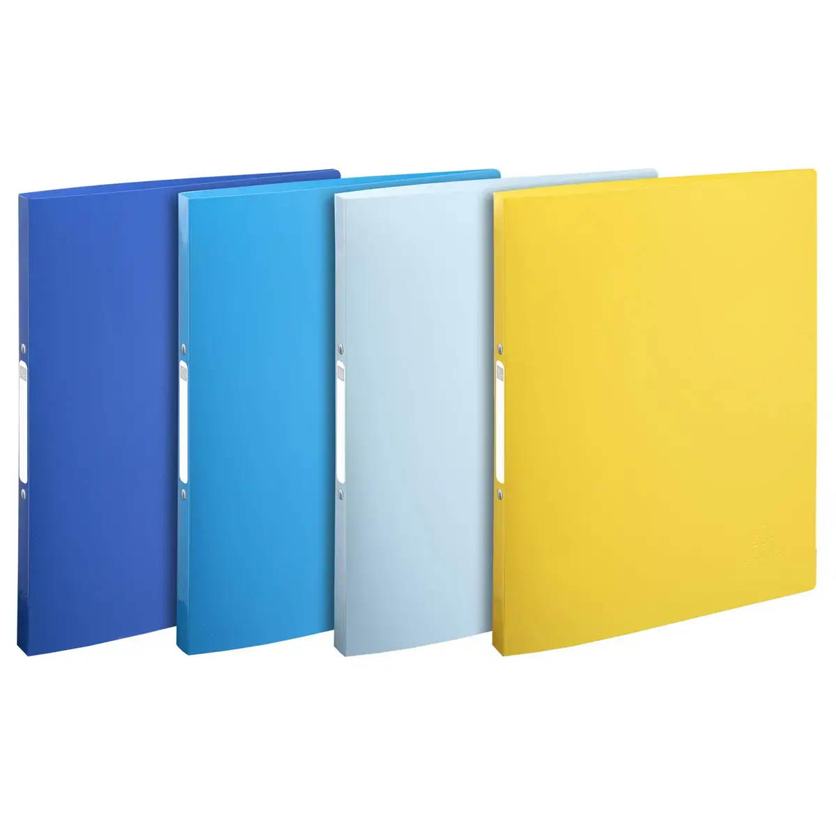 4 Classeurs 2 anneaux 1.5 cm PP recycl&eacute; BeeBlue - A4 - EXACOMPTA 