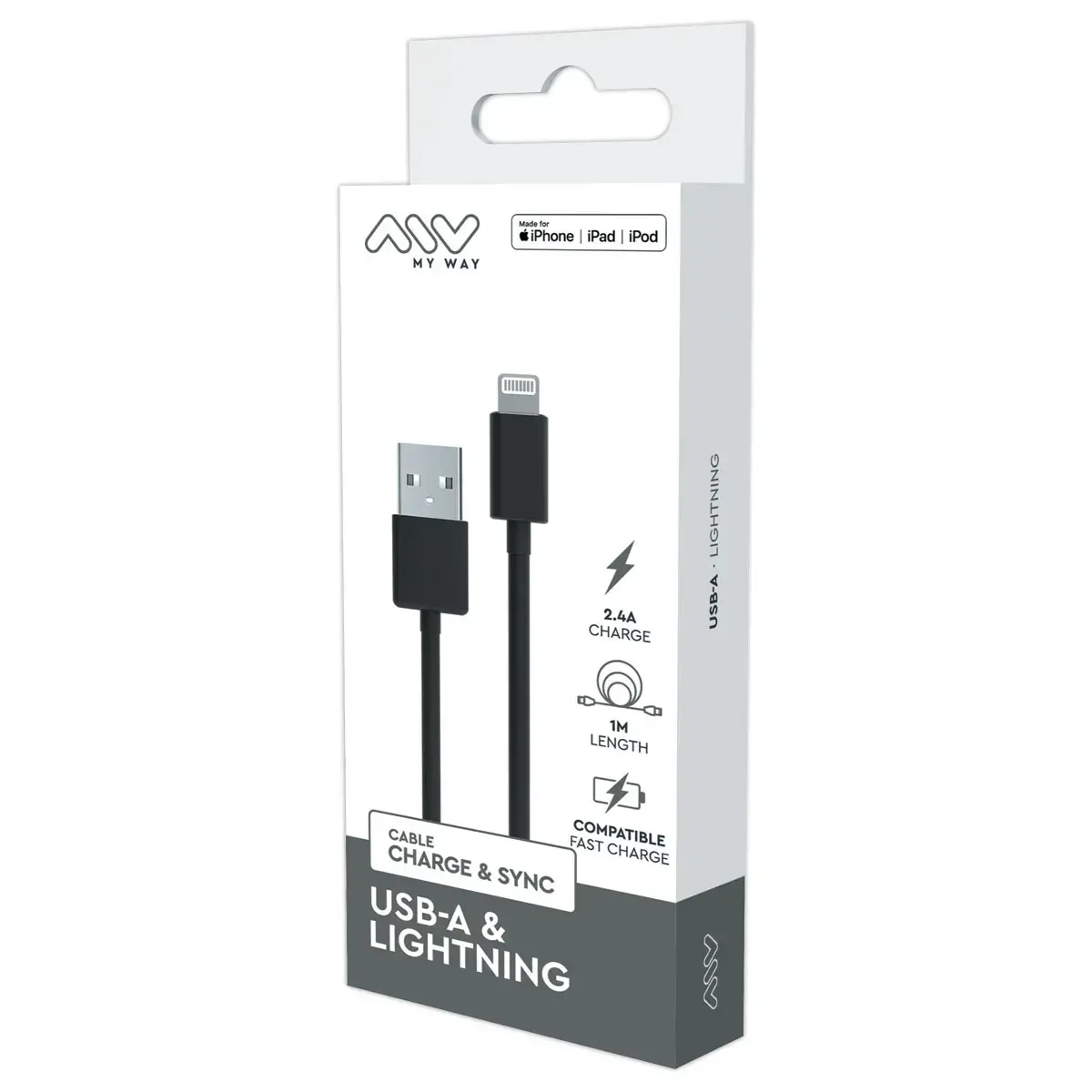 C&acirc;ble USB-A Lightning 1m Noir 