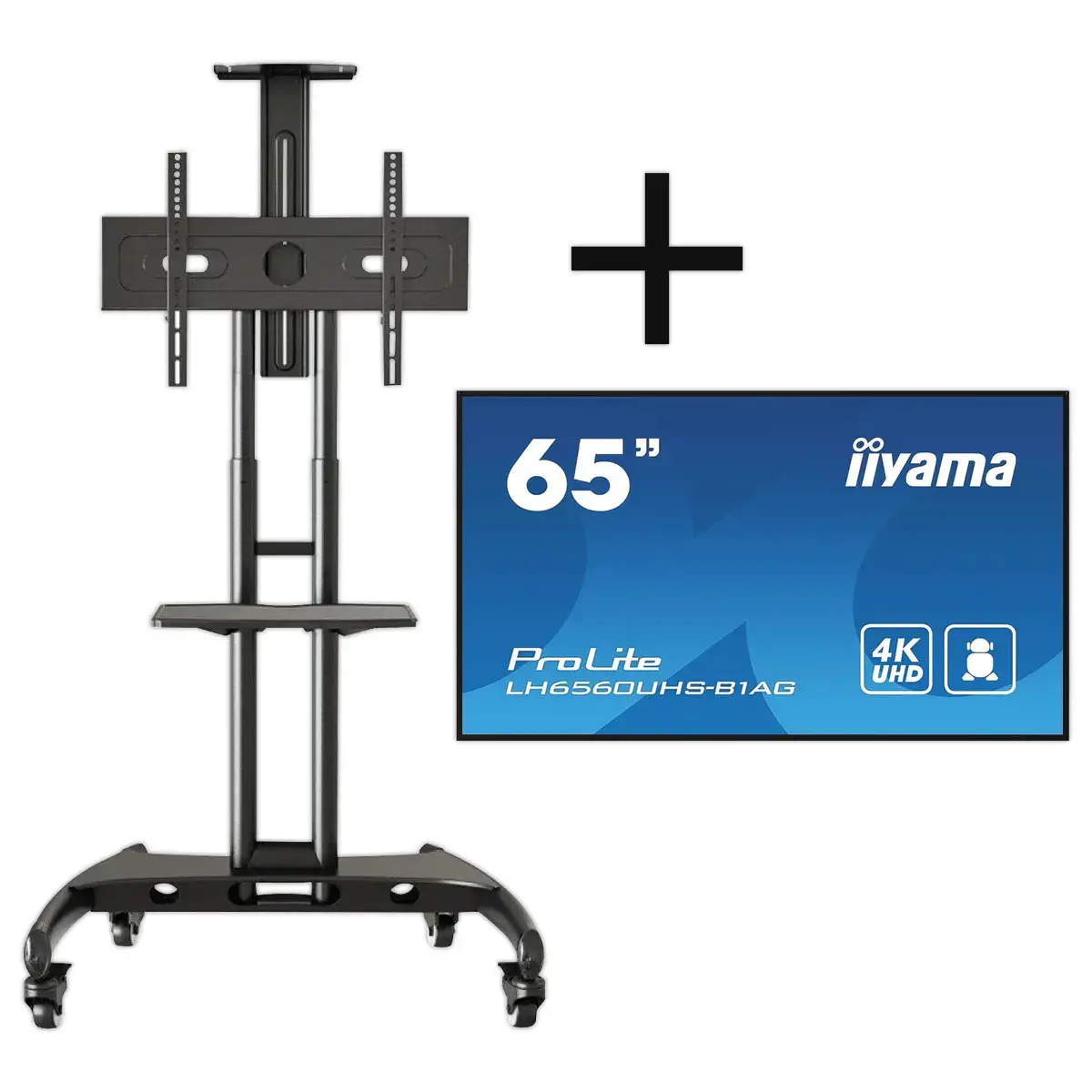 Ecran 65" IIYAMA + support mobile à roulettes