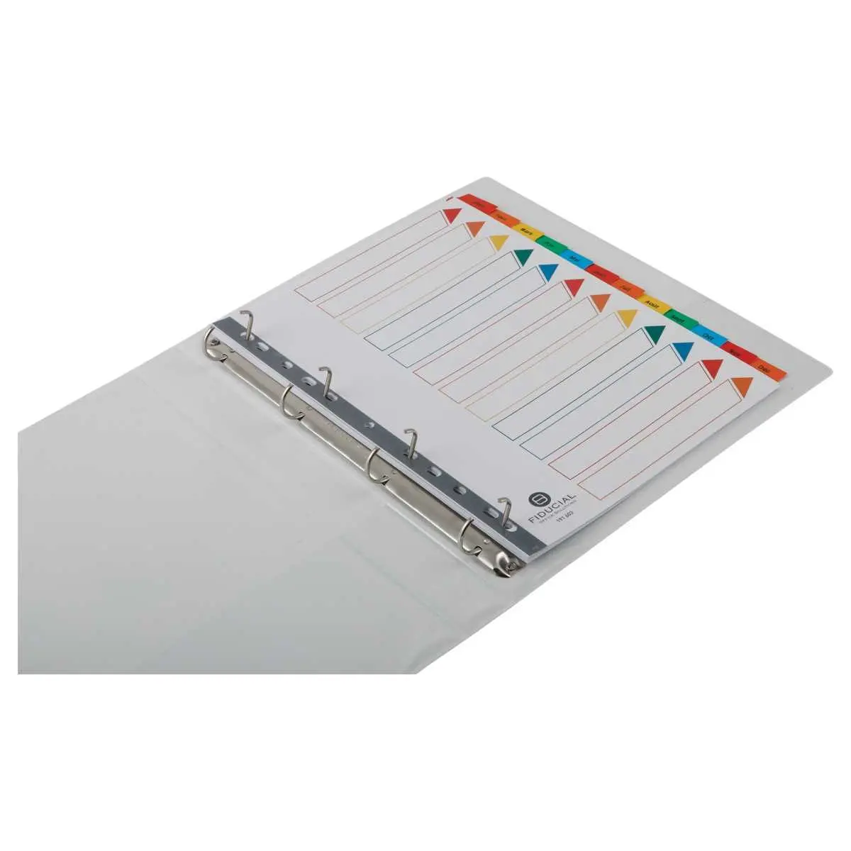 Jeu d'intercalaires mensuels 180 g - A4 - 12 onglets multicolores - FIDUCIAL