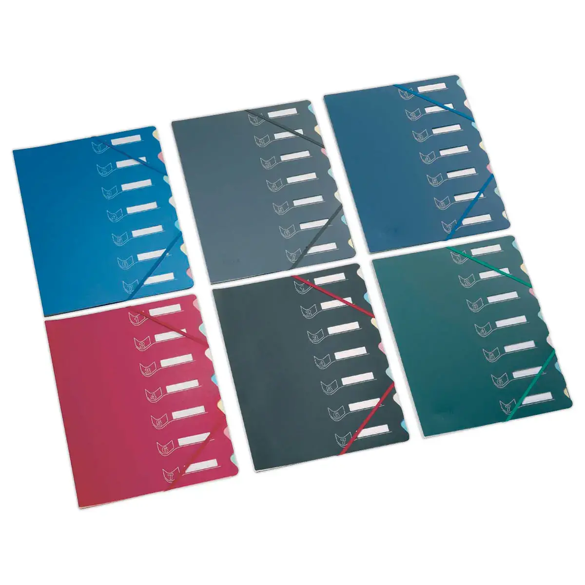 Trieur chemise bi-matière - 7 compartiments - EXTENDOS