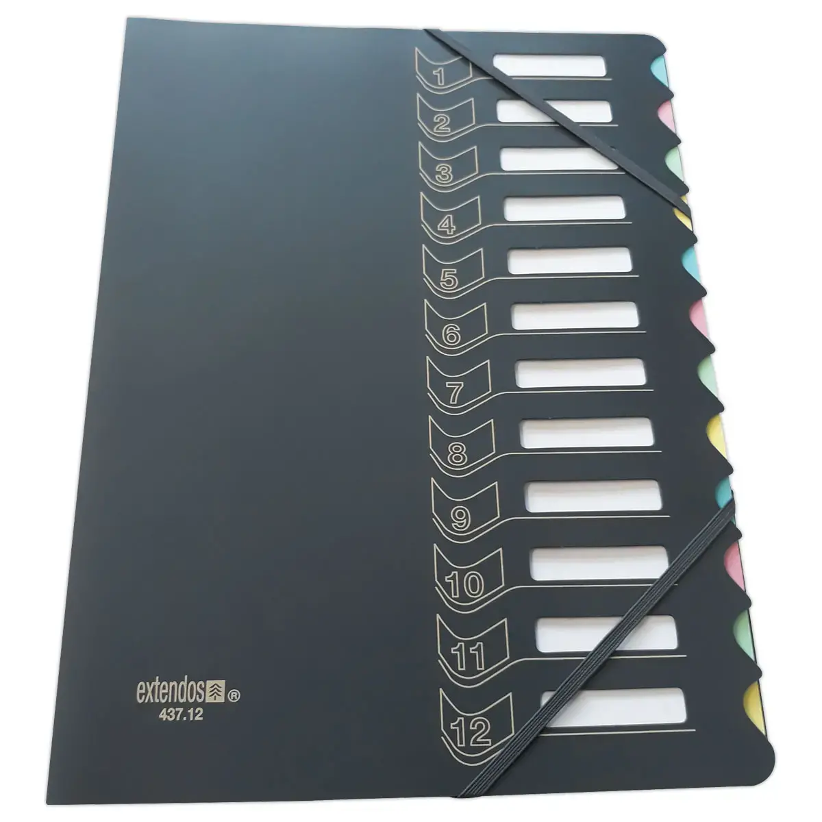 Trieur chemise bi-matière - 12 compartiments - EXTENDOS