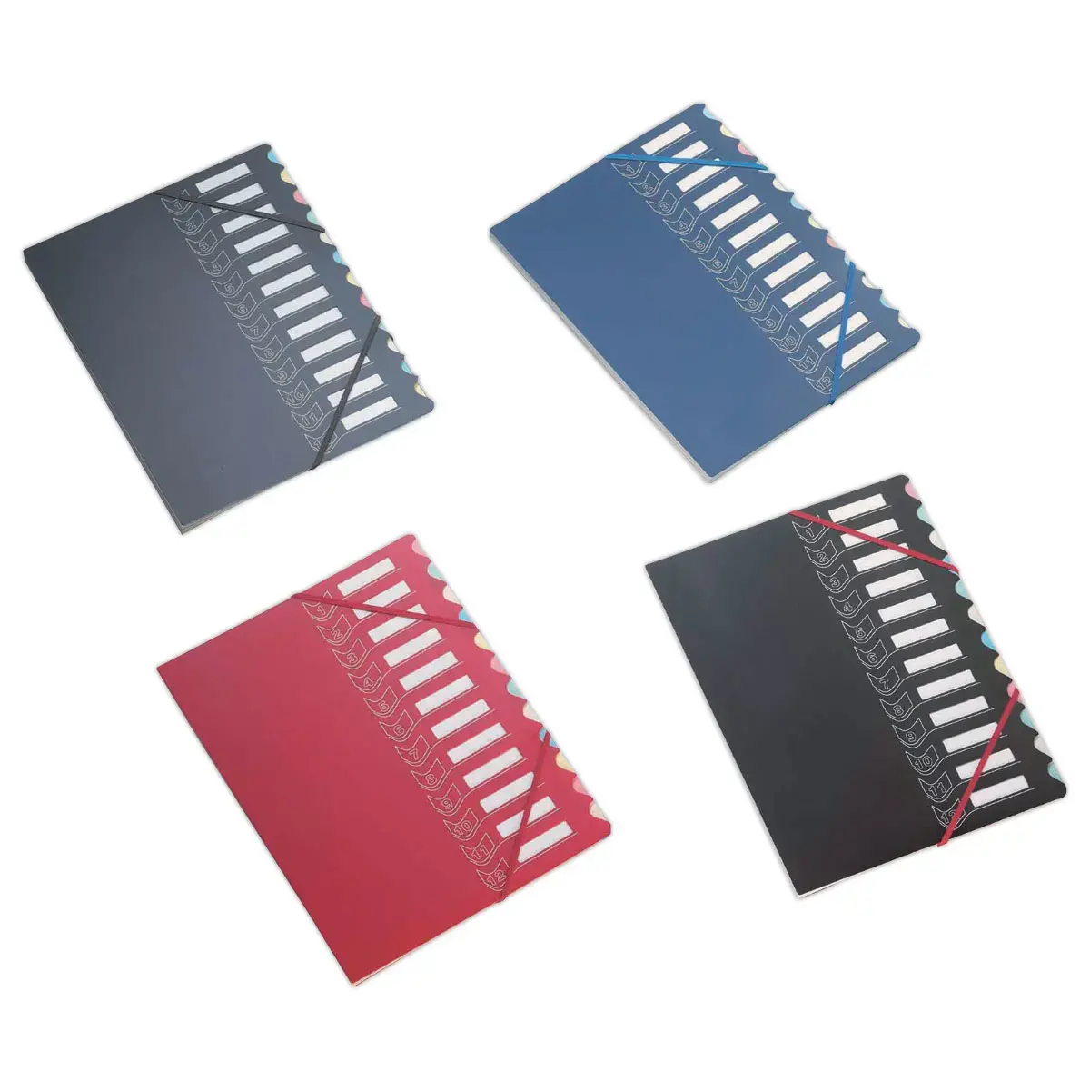 Trieur chemise bi-matière - 12 compartiments - EXTENDOS