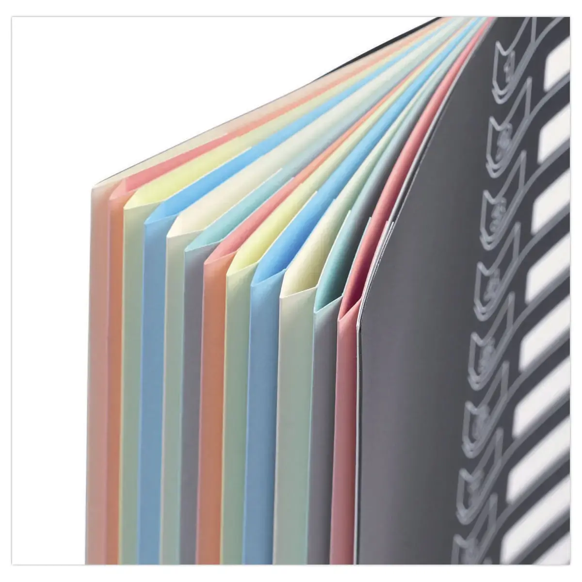 Trieur chemise bi-matière - 12 compartiments - EXTENDOS
