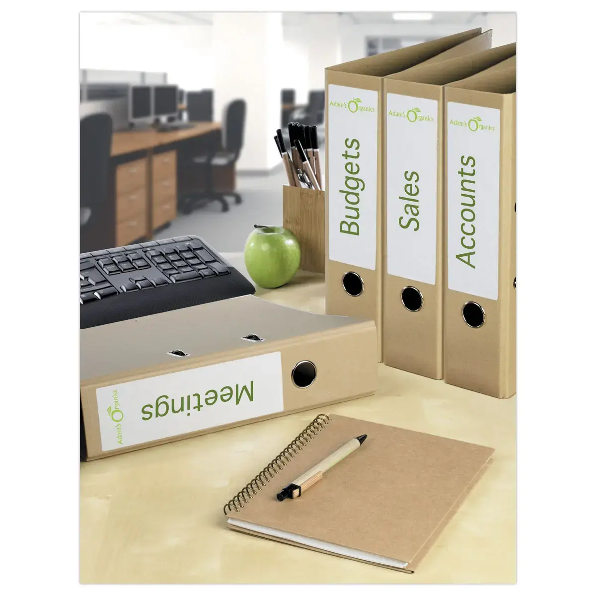 25 planches de 4 étiquettes de classement blanches pour classeur dos large AVERY