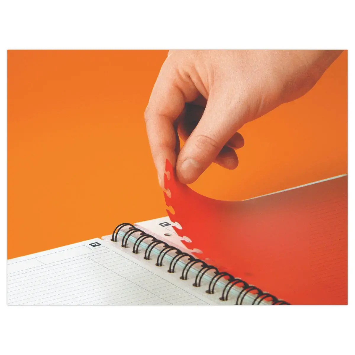 Cahier A4 - Carreaux 5x5 - Oxford