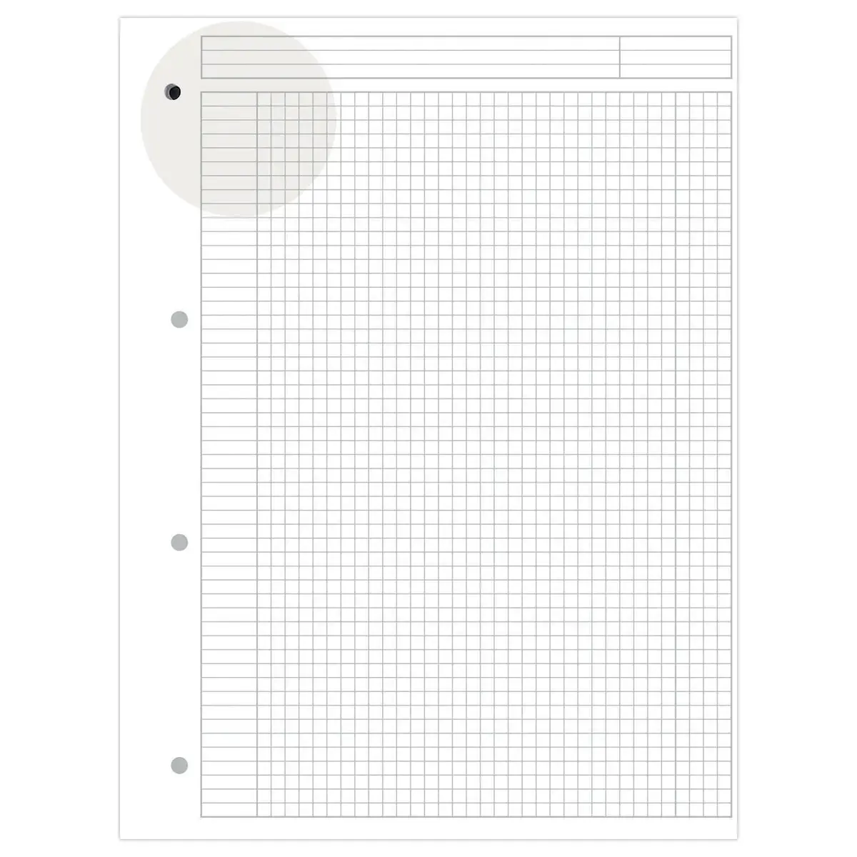 Cahier A4+ Notebook OXFORD International - 5x5 - 80g