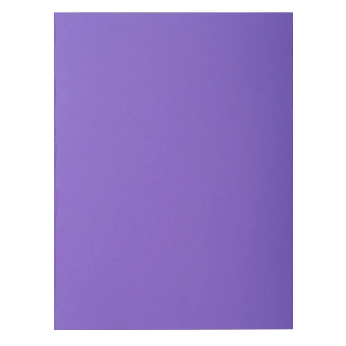 Paquet de 10 chemises ROCK''S 210 - 24x32cm - Violine - EXACOMPTA