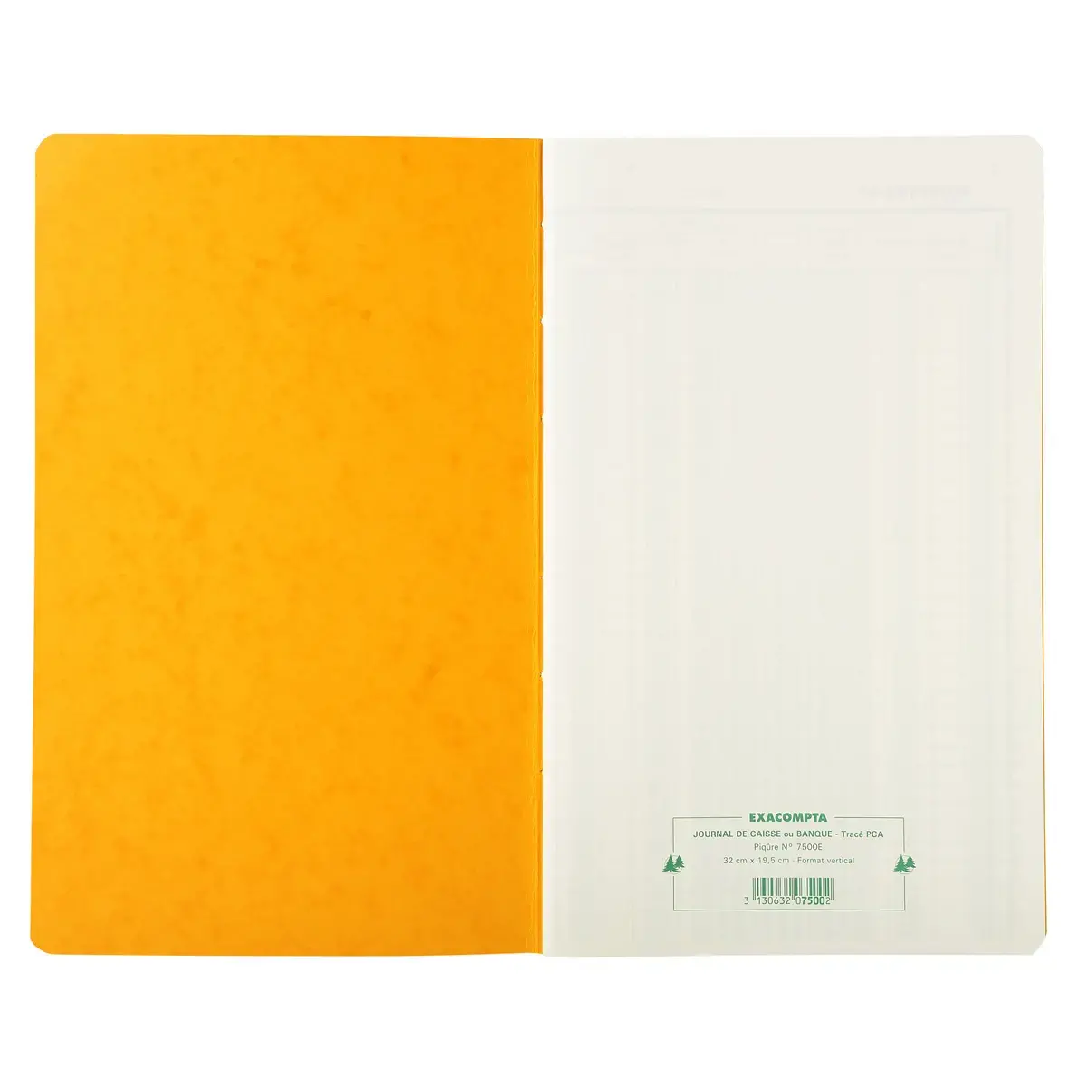 Piqûre 32x19,5cm Journal de caisse ou banque 5 débits - 5 crédits 31 lignes 80 pages - EXACOMPTA