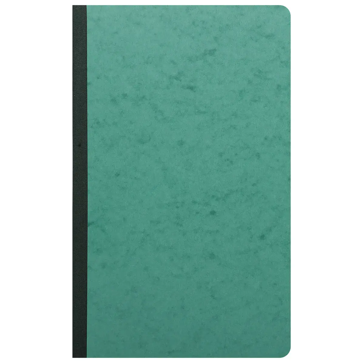 Piqûre 32x19,5cm échéancier 80 pages - EXACOMPTA