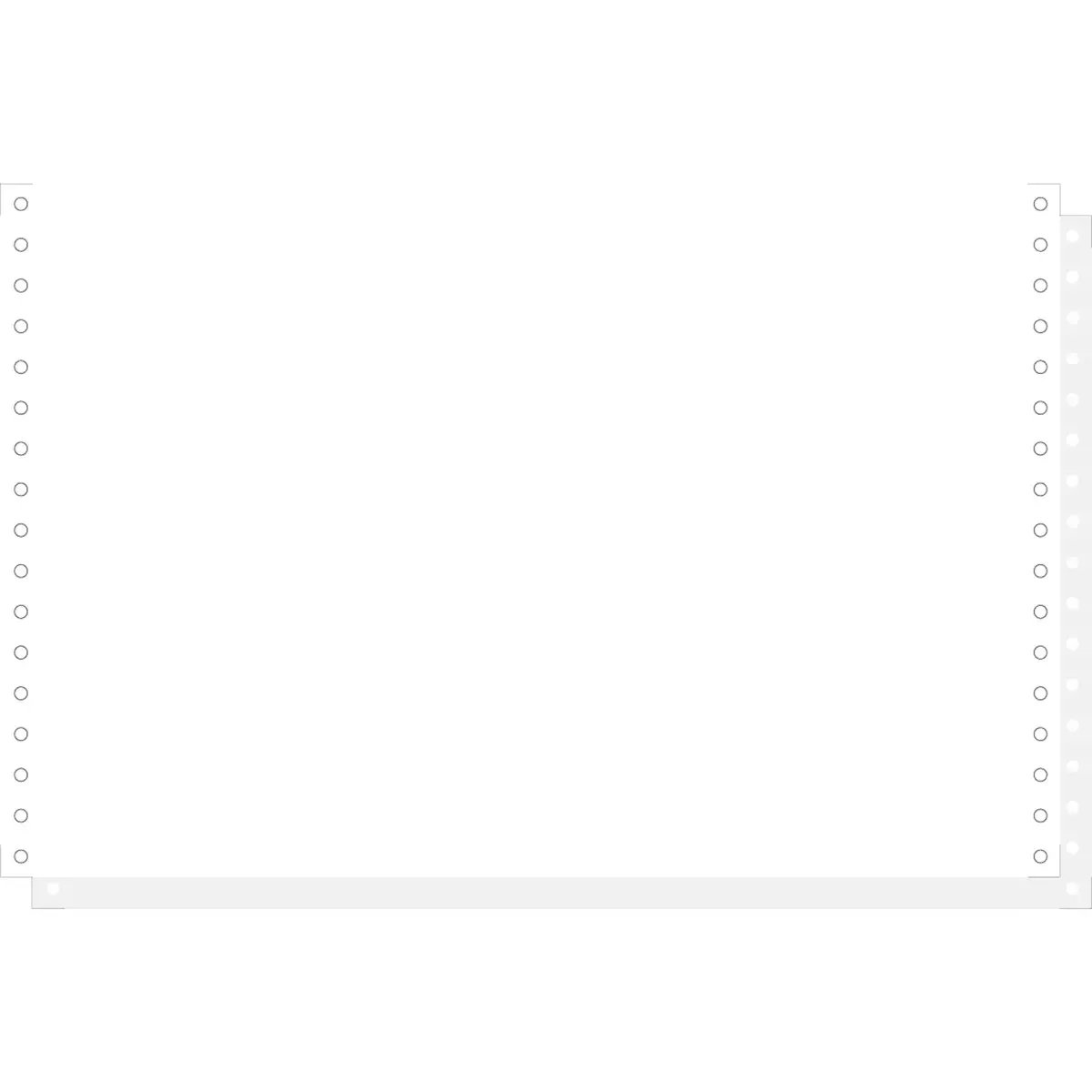 1000 feuilles de listing autocopiantes blanc 330x8 1/2" 2plis Bandes Caroll D&eacute;tachables - Blanc - EXACOMPTA 
