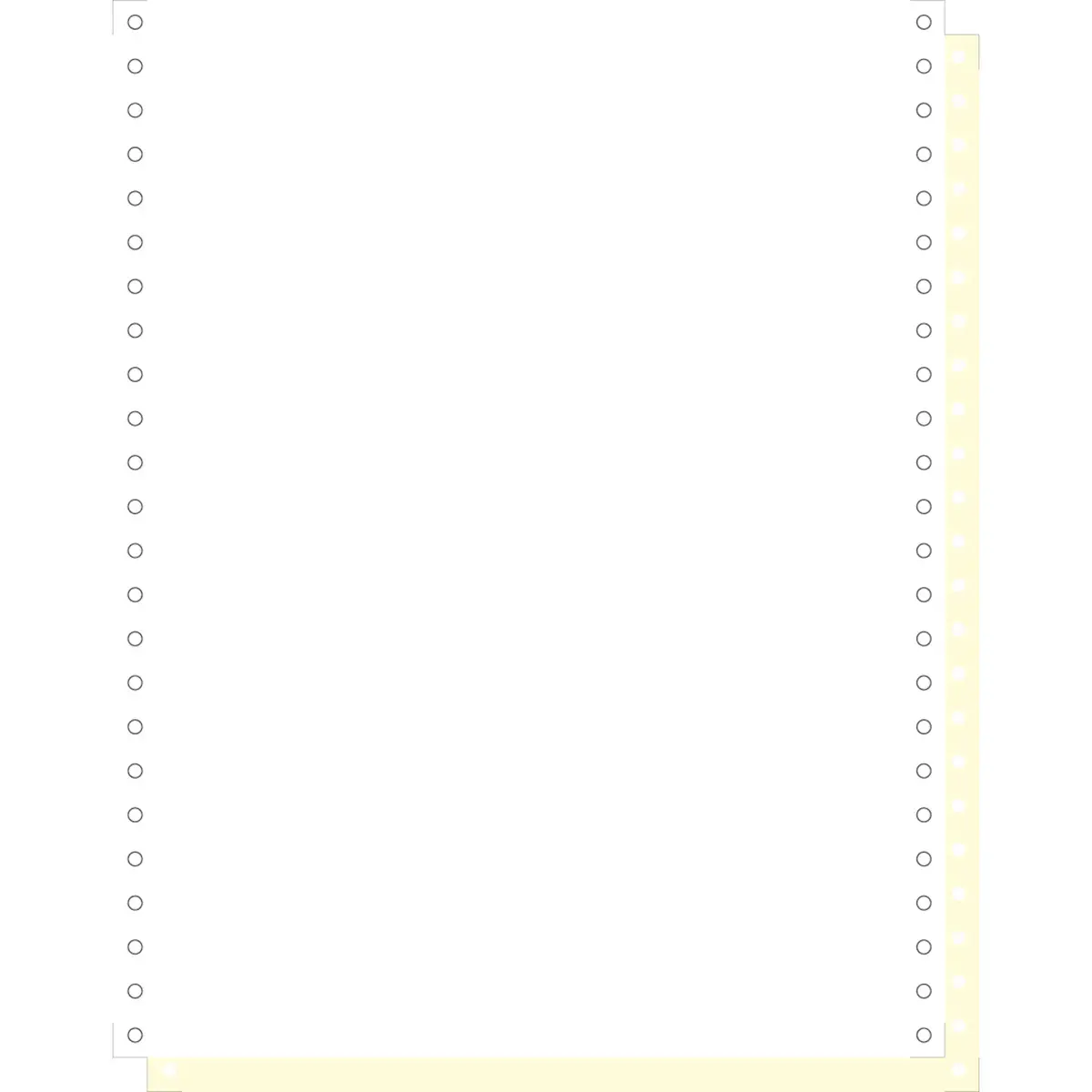 1000 feuilles de listing autocopiantes blanc/jaune 240x12" 2plis Bandes Caroll Détachables - Blanc - EXACOMPTA