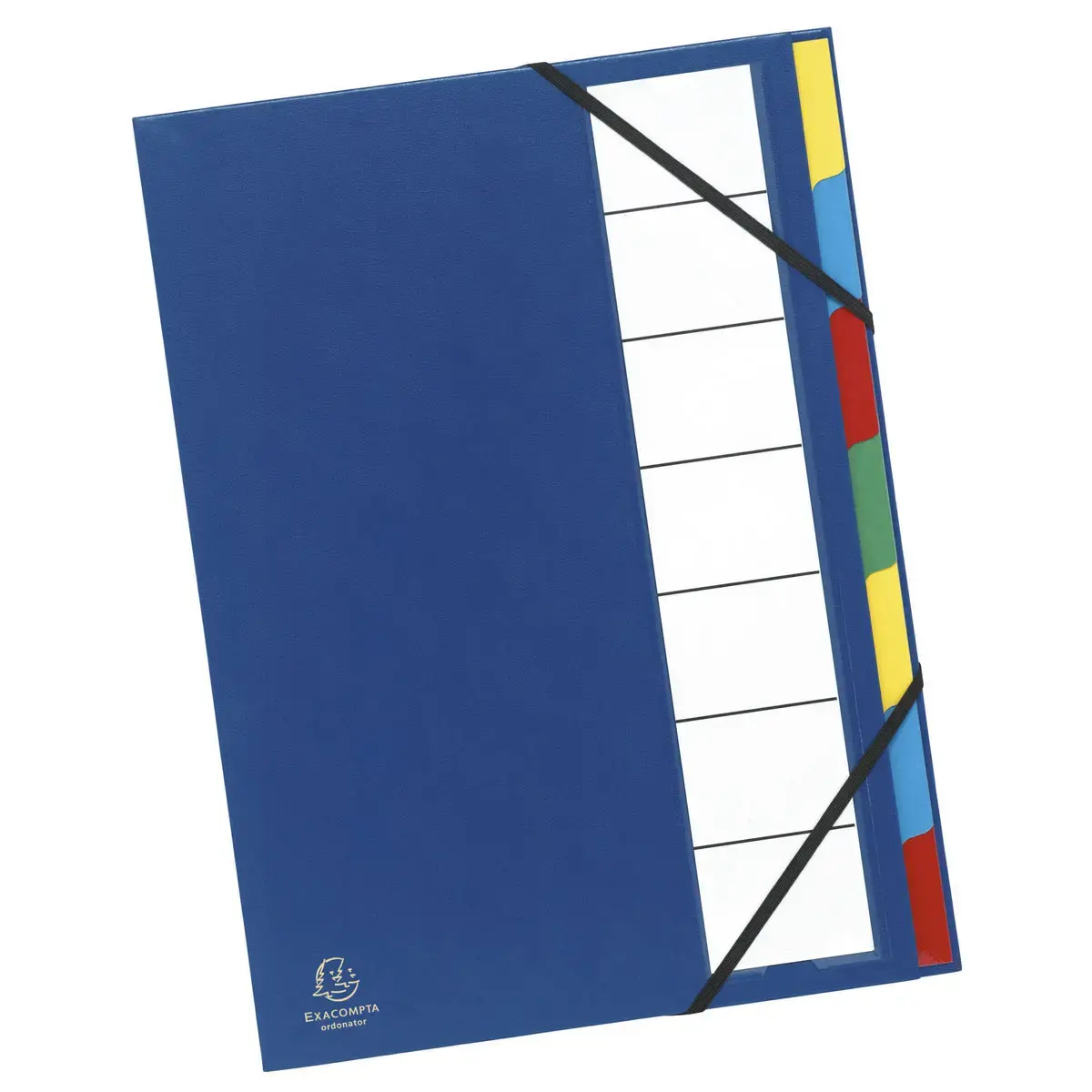 Trieur rigide ordonator dos extensible 7 compartiments noir - Couleurs assorties - EXACOMPTA