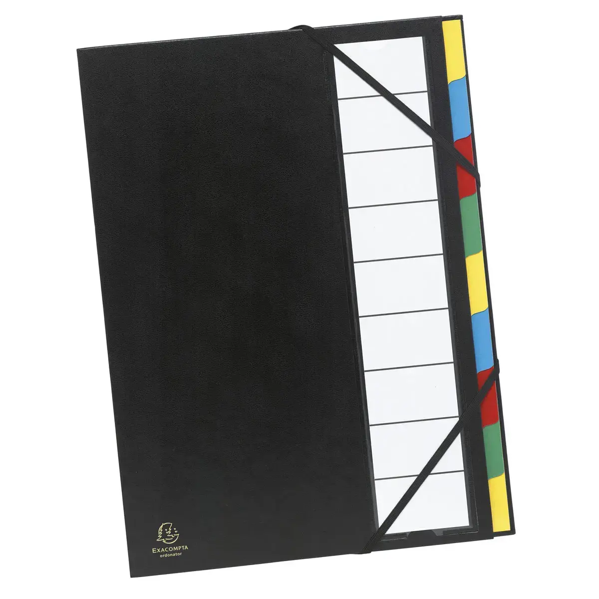 Trieur rigide ordonator dos extensible 9 compartiments - Couleurs assorties - EXACOMPTA