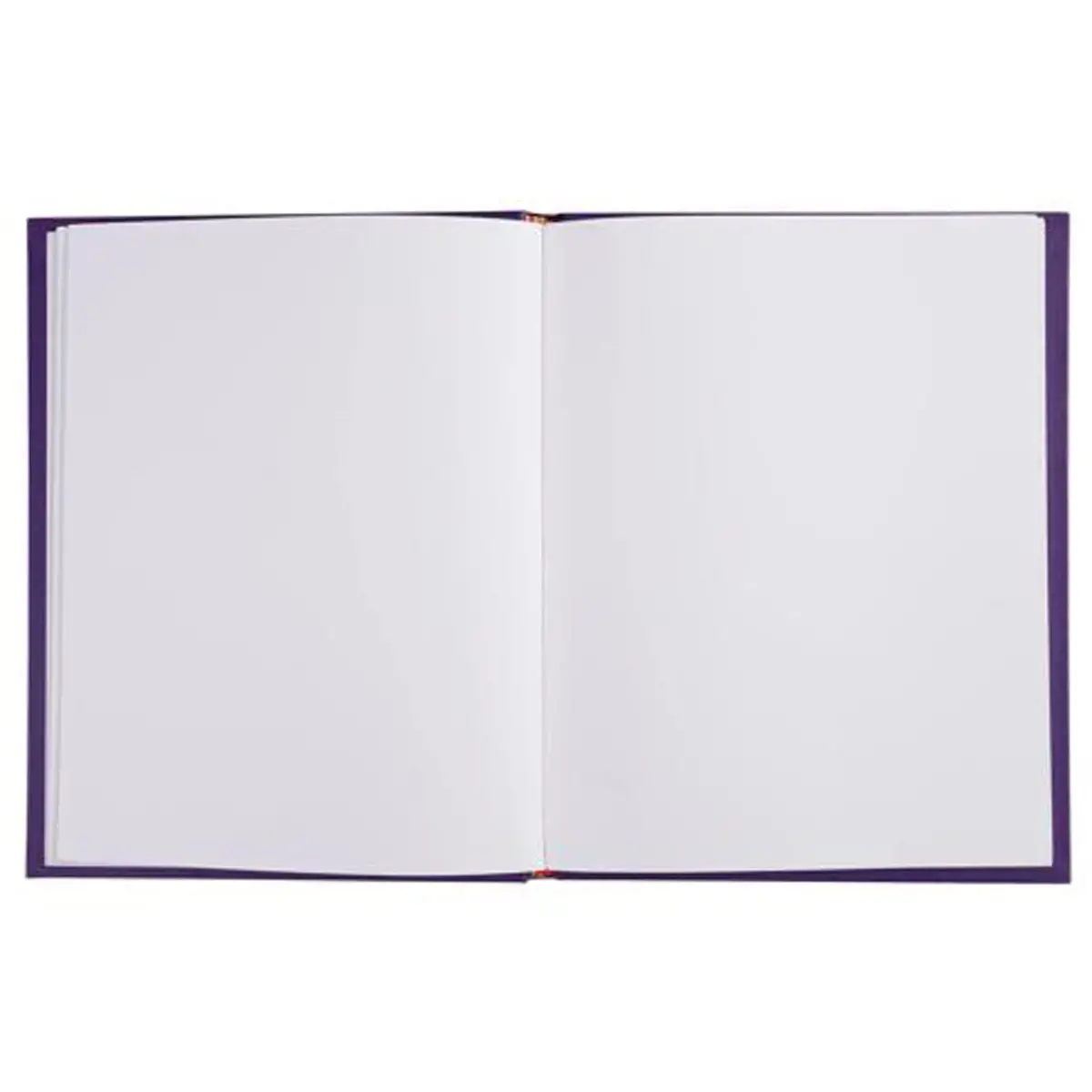 LIVRE D OR    1M.220X170 VIOLET 