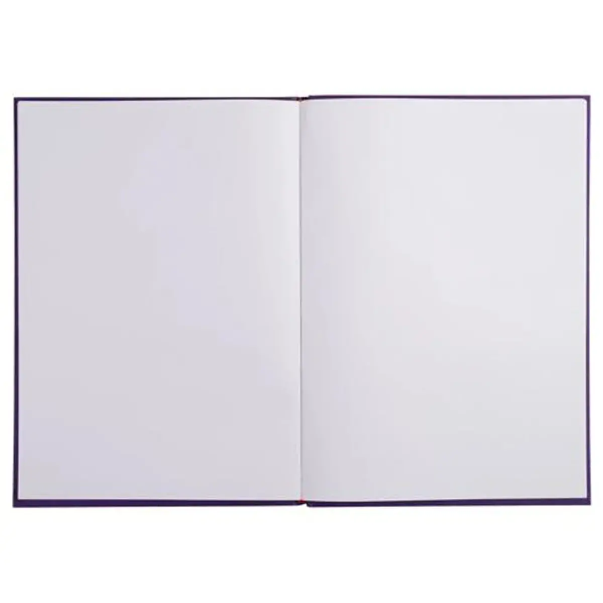 LIVRE D OR .1M. 297X210 VIOLET
