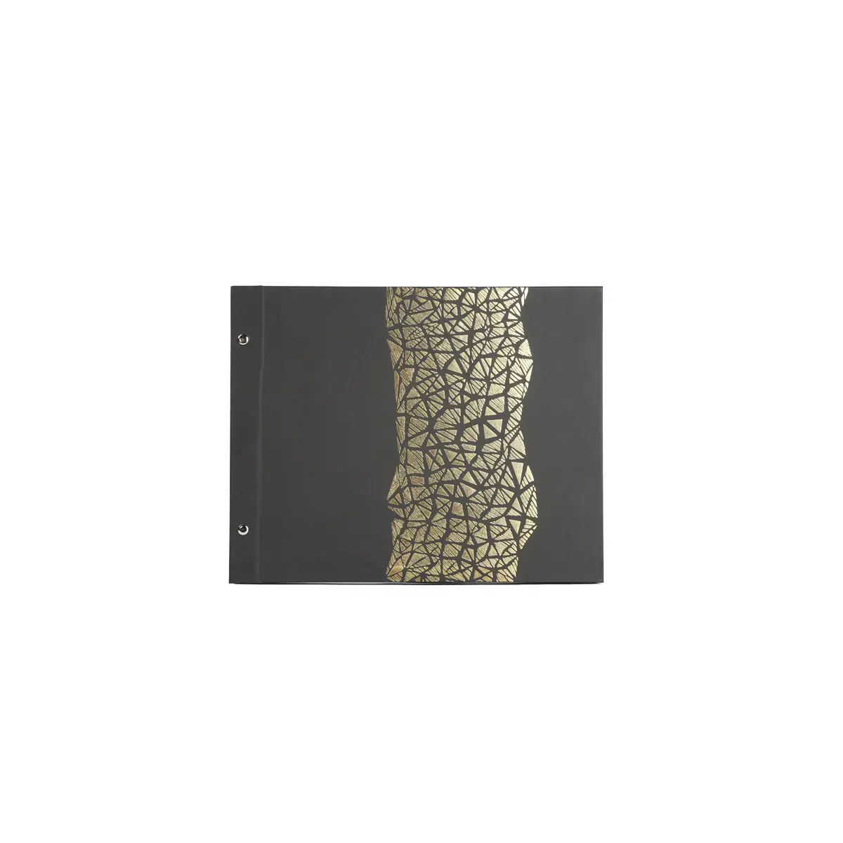 Album a vis 40 pages noir 37x29cm ARAMY