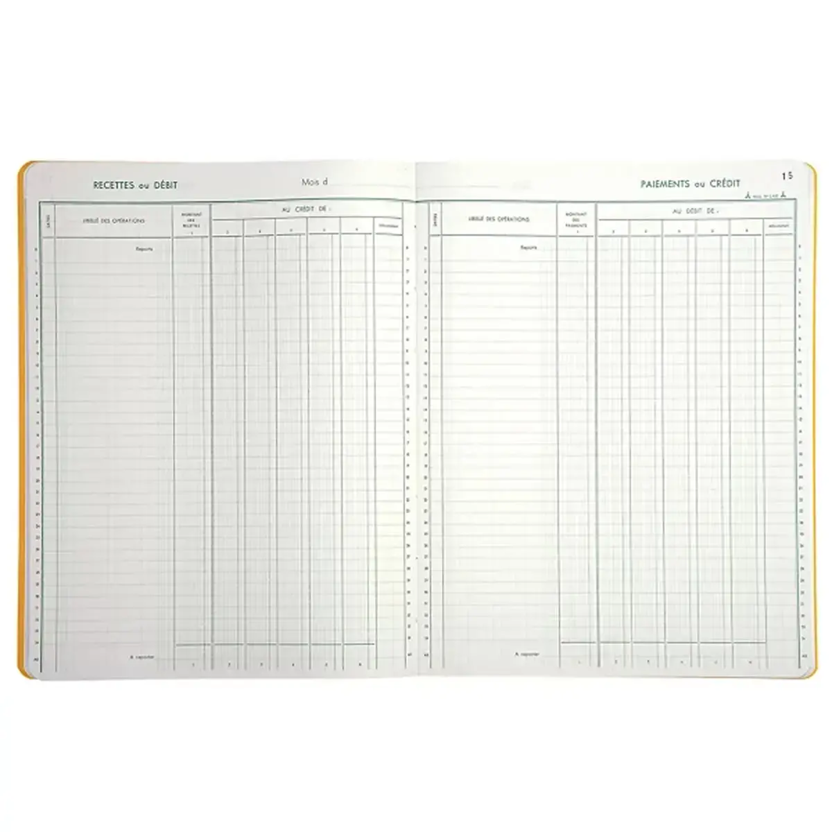 Piqûre Trésorerie verticale - 31,5 x 24,5 cm - 6 colonnes débit / 6 crédit - 80 pages - Exacompta