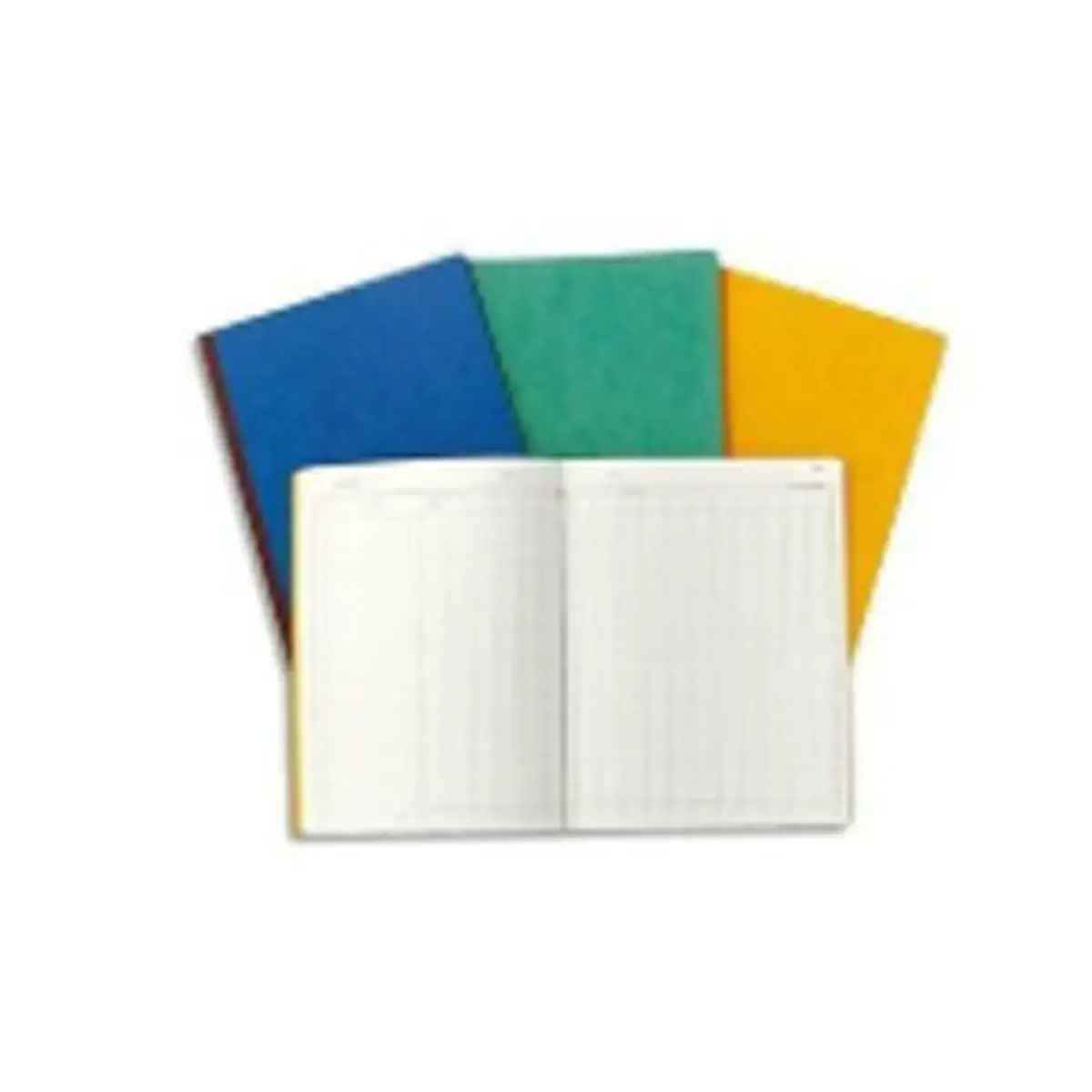 PIQURE 31.5X24.5 TRESORERIE D.5 C.11
