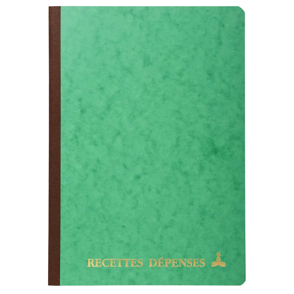 PIQURE RECETTES DEPENSES 29,7X21