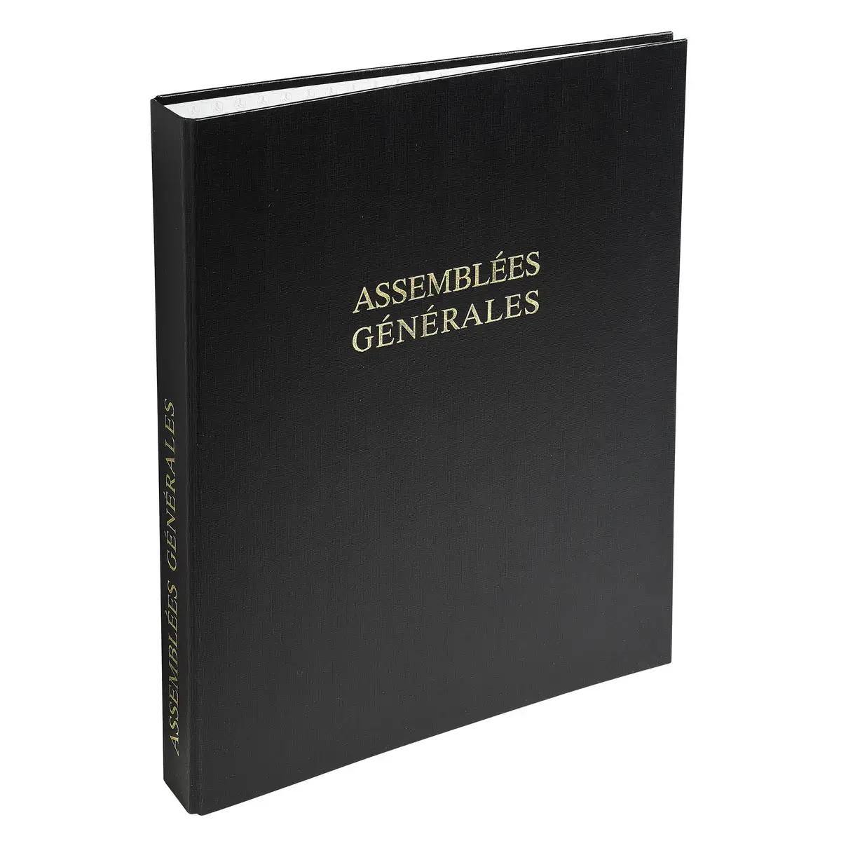 REL.STANDARD ASSEMBLEES GEN.VIDE
