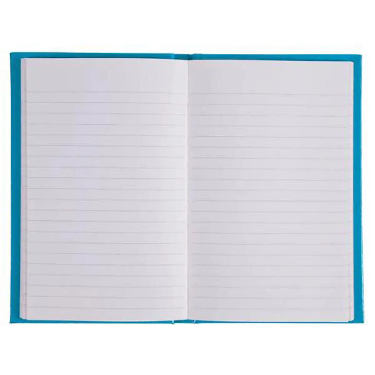 REG IDERAMA 170x110 192P LIGNE BLEU FSC®