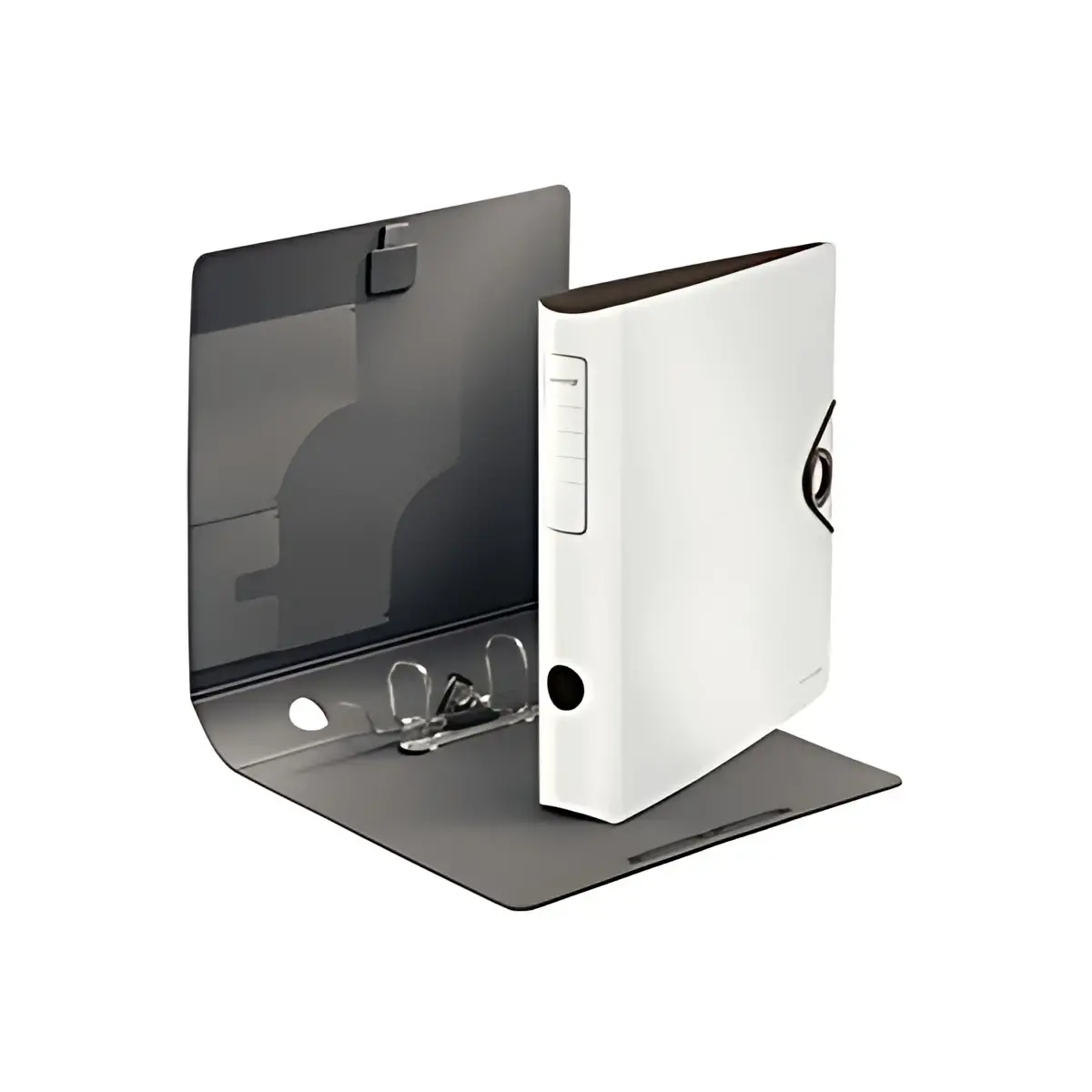 LEITZ Classeur &agrave; levier Active Solid, 180 degr&eacute;s, 65 mm 