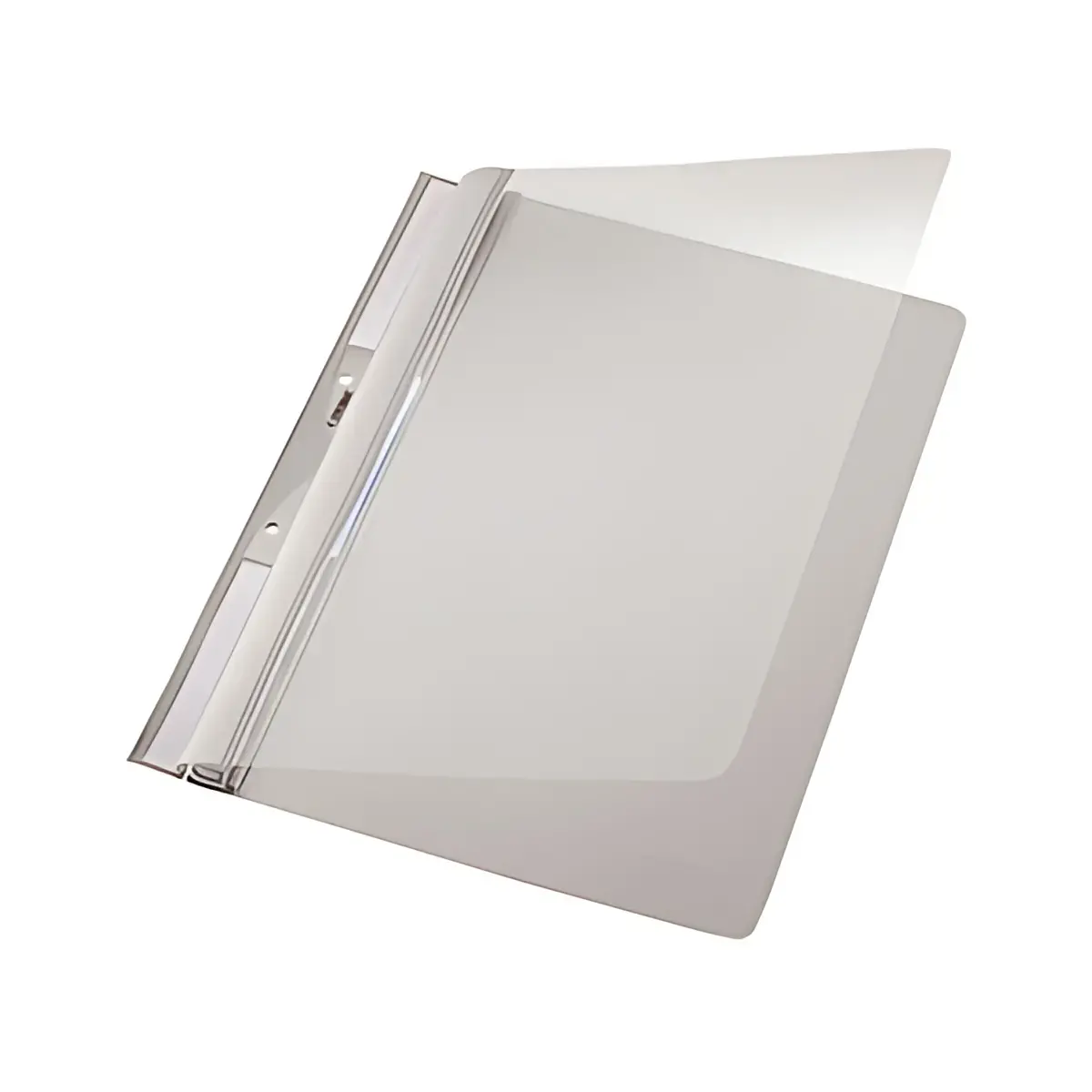 LEITZ chemise accrochable universelle en plastique, A4, PVC