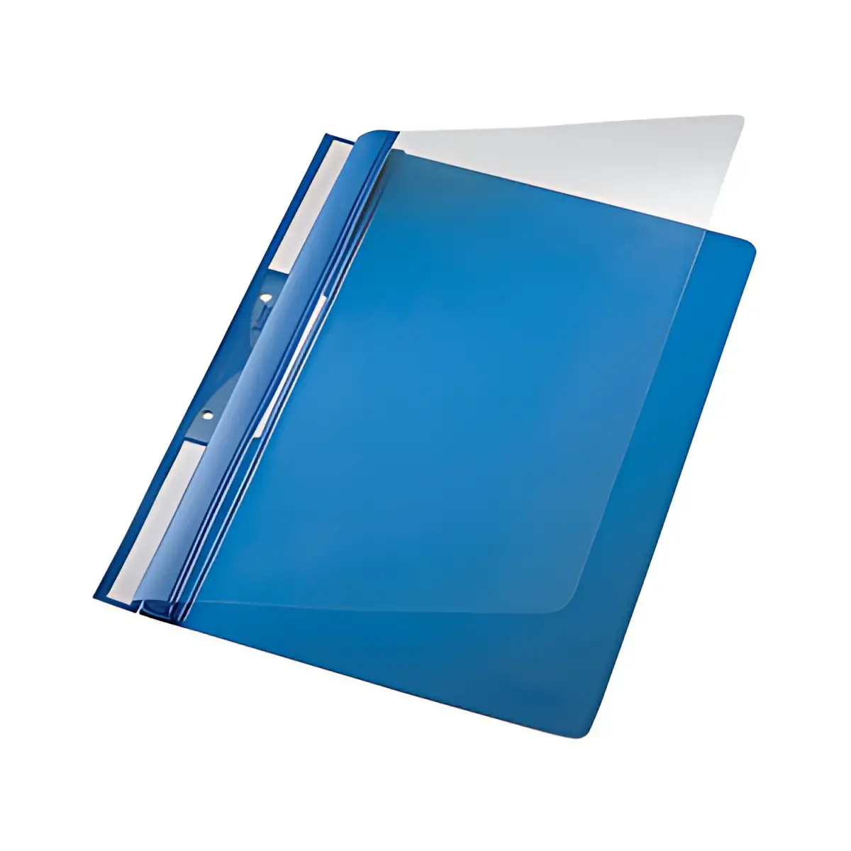 LEITZ chemise accrochable universelle en plastique, A4, PVC