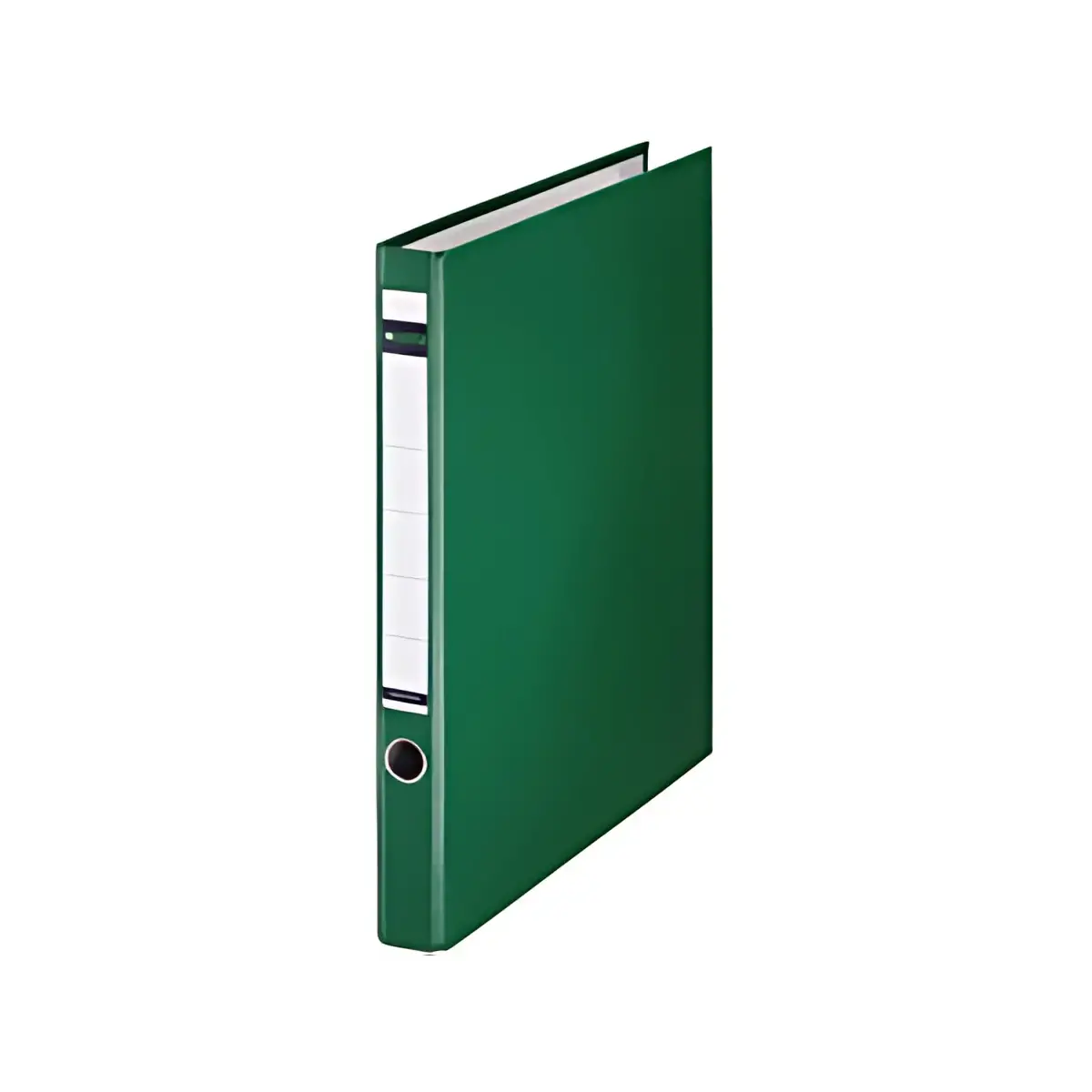 LEITZ classeur &agrave; anneaux, en plastique, format A4, vert, 