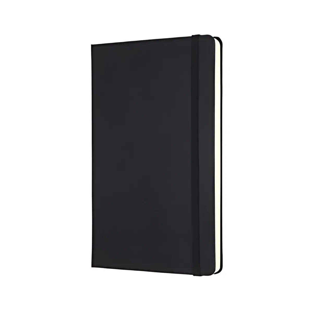 MOLESKINE Carnet de croquis Bullet Notebook, L/A5, noir