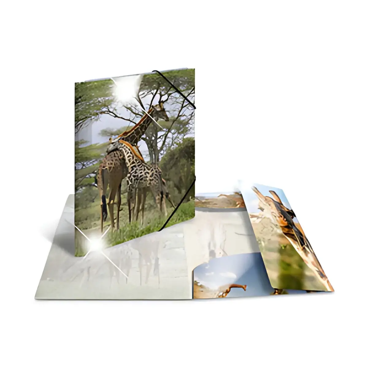 Chemise &agrave; &eacute;lastiques Chevaux - PP Glossy - A4 - Herma 
