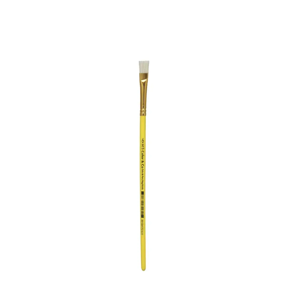 12 LEFRANC BOURGEOIS Pinceau brosse en soie de porc, plat, N.6 