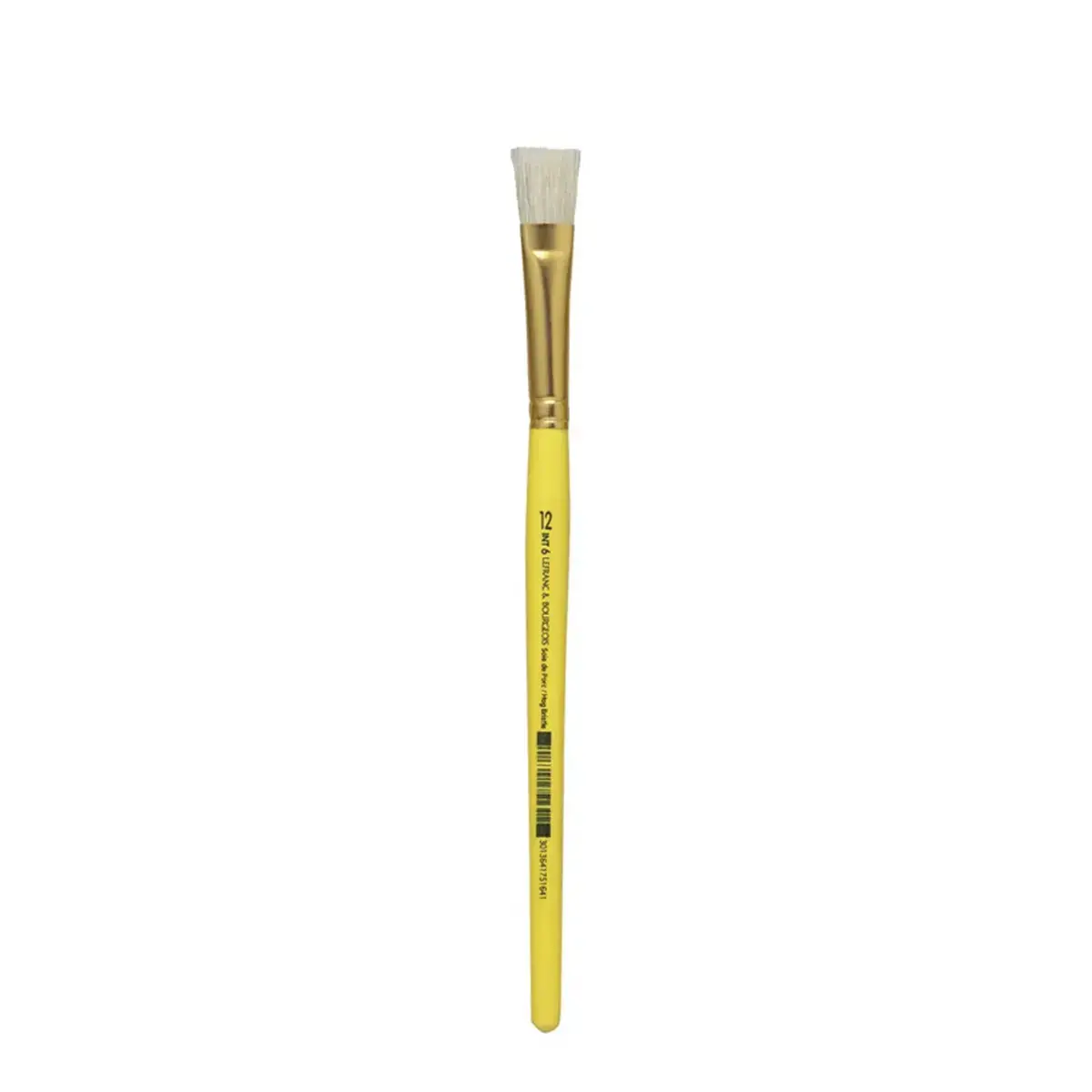 12 LEFRANC BOURGEOIS Pinceau brosse en soie de porc, plat, N.12